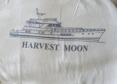 harvest moon stuart 2